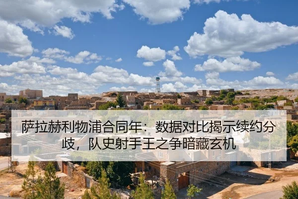 sa-la-he-li-wu-pu-he-tong-nian-shu-ju-dui-bi-jie-shi-xu-yue-fen-qi-dui-shi-she-shou-wang-zhi-zheng-an-cang-xuan-ji-2-466.jpg